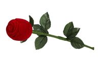 imagem de EST. VELUDO P/ANEL - ROSA C/CABO