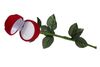 imagem do produto  EST. VELUDO P/ANEL - ROSA C/CABO