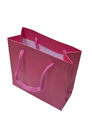 imagem do produto SACOLA LISA 16X12X5CM ROSA (10 PCS)
